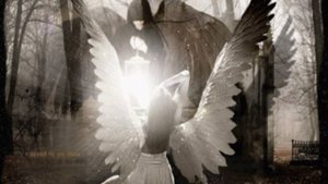 Размышления о Боге. музыка и исполнение Игорь Степанов