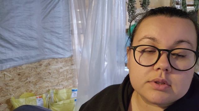 Взвешивание бройлеров 14 дней и индейки 17 дней. Переселяем птицу. Жизнь в деревне.