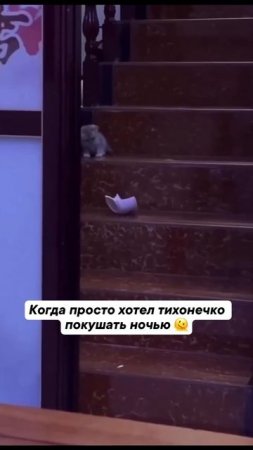Клип @ko7ikko7ik