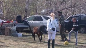 Маленький да удаленький (боевой понь)