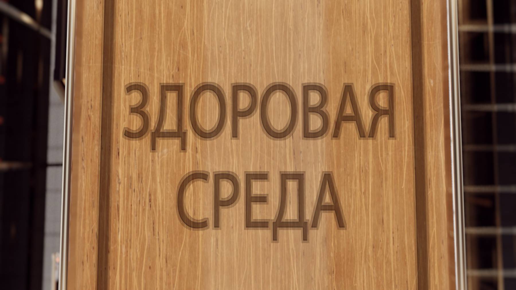 ЗДОРОВАЯ СРЕДА КРАЕВАЯ СПЕЦИАЛИЗИРОВАННАЯ ПСИХИАТРИЧЕСКАЯ БОЛЬНИЦА № 3