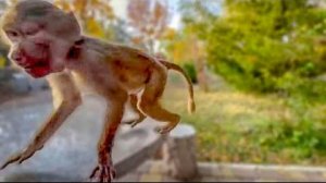 ЗДОРОВО! Как же мы ВЕСЕЛО и СМЕШНО отдохнули с Люсей в осеннем парке