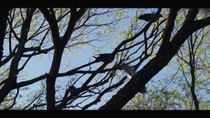 Любашинский Сад 
Юлия Кириллова 
Миссис Калининский район 👸