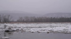 Мана вскрылась. Манский лёд идёт по Енисею.