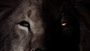 Реклама официального
дилера Volvo Красноярск