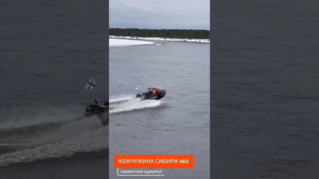 Жемчужина Сибири 460