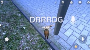 КАК ЗАСМУЩАТЬ ХОРЬКА | VIRTUAL DROID 2