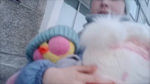 влог день уточек🎀 у Милки осталось подруга с ночевой🌷 поездка в банана парк🍌🍉🍌