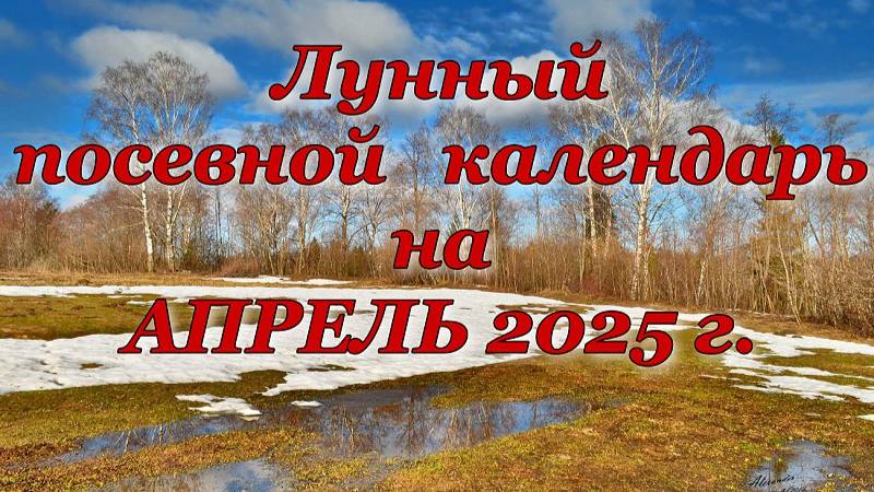 Лунный календарь ДАЧНИКА на АПРЕЛЬ 2025 г.