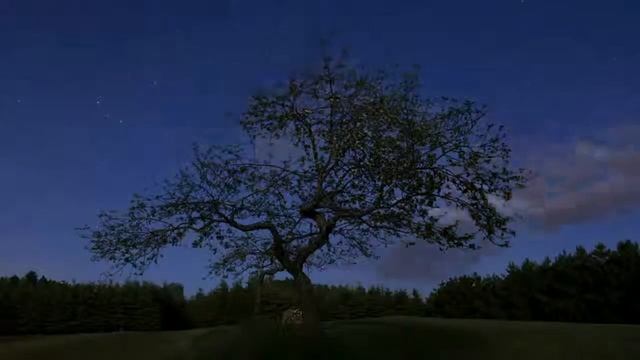 Всему youtube спокойная ночь.mp4 смотреть онлайн