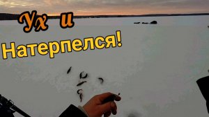 Рыбалка в стиле-экшен