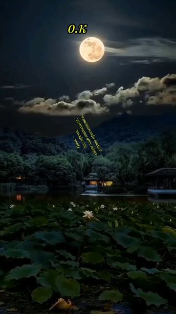 #Приятных снов💞💯 смотреть онлайн