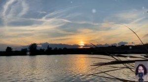 Жена сбежала с любовником, бросив и мужа и детей. -Ти их лучше вырастишь, ну какая из меня мать...