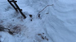 Получила подглазник.