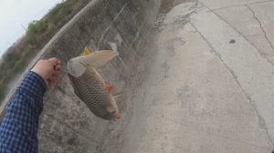 рыбалка на рогатку