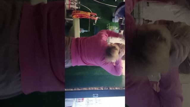 утренний влог номер#2