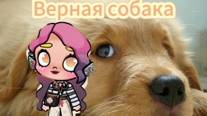 Верная собака. 2 серия.