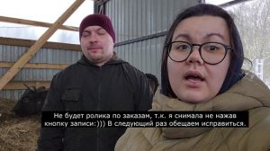 Аллергия у коровы на витамин - Седимин. Как мы чуть не потеряли нашу буренку.