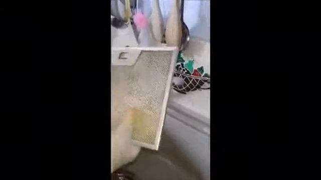 Super sgrassatore universale chogan смотреть онлайн