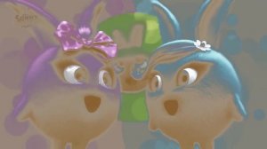 Sunny Bunnies In Cat Effect