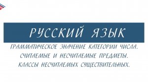 6 класс - Русский язык - Грамматическое значение категории числа. Считаемые и несчитаемые предметы