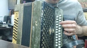 гармонь чайка