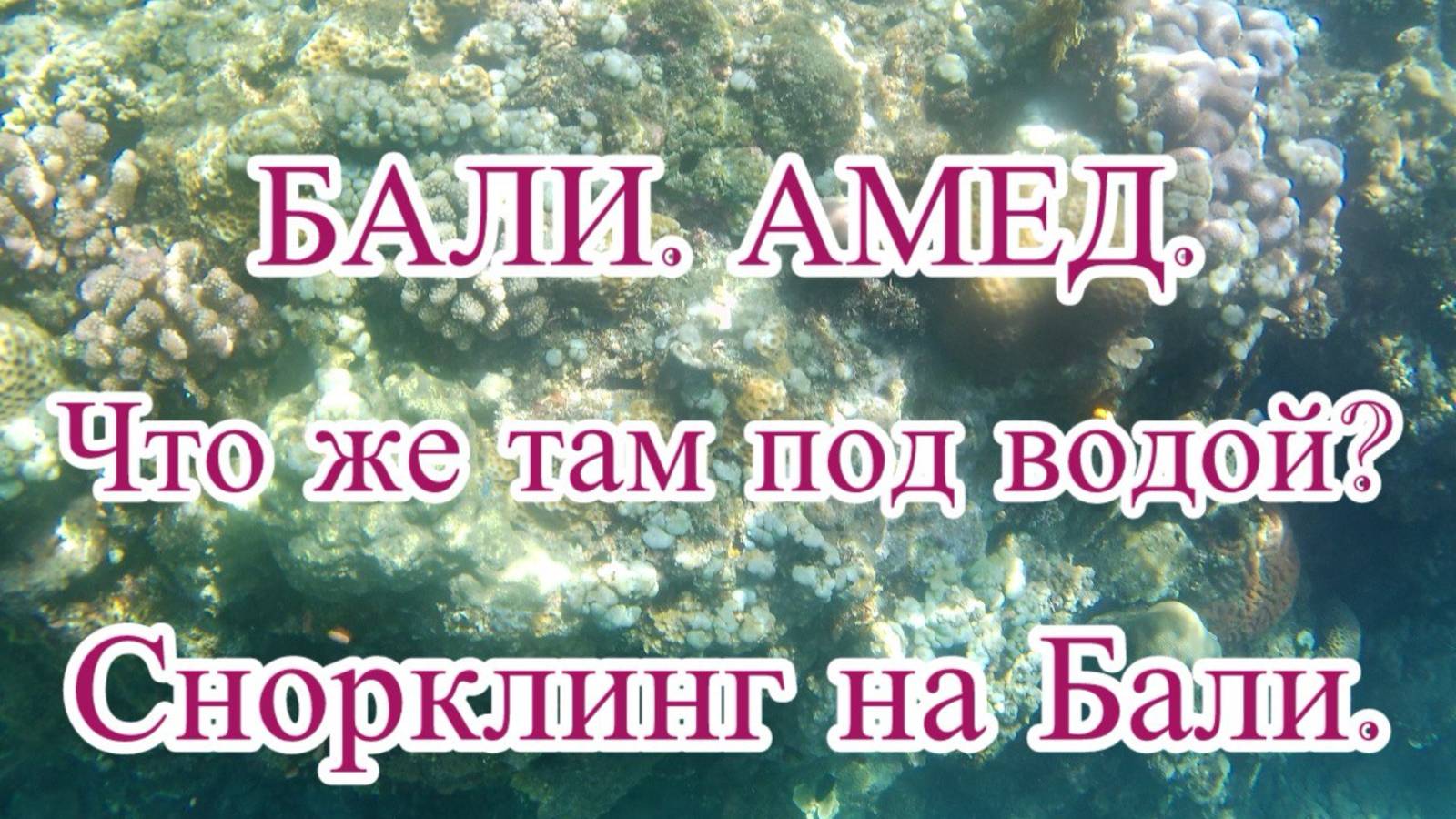 Экскурсия на Бали. Амед. Коралловый сад, затонувший японский корабль, Тартл поинт, бухта Джемеллук