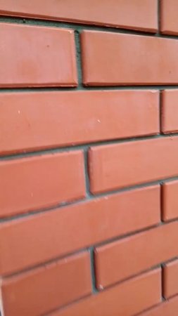 стенка облицовка