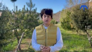 Отзыв ученика на программу «Дайвер», обучение методом погружение в предмет