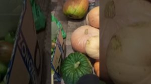 КТО МОЛОДЦЫ . МЫ МОЛОДЦЫ ......