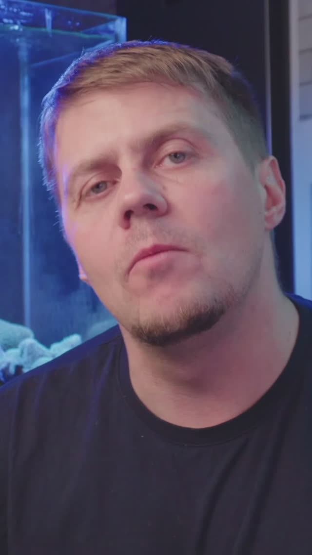 Осталась Одна Креветка... Но Это Лишь Начало Истории! смотреть онлайн