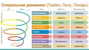 Какие уровни развития проходит каждый человек. (Спиральная динамика)