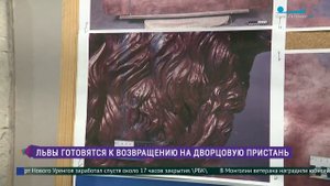 Львы готовятся к возвращению на Дворцовую пристань