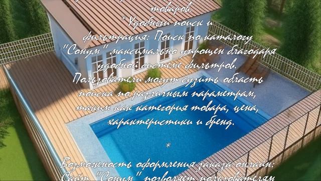 Как создать мини-сад с кактусами: идеи и советы  .