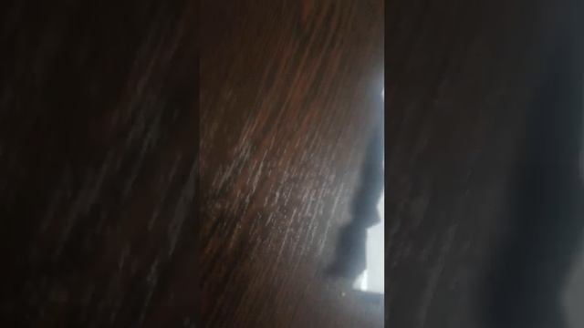 VID_20250327_112236.mp4