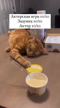 А он хорош!