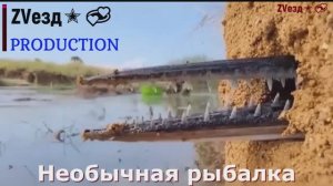 Индусы рыбу ловят примо из земли
