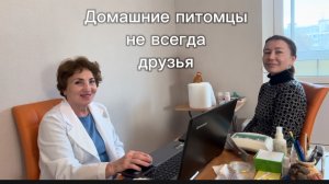 Домашние питомцы не всегда друзья.