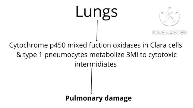 Fog fever in cattle||Signs||Treatment||prevention||Detailed lecture by Dr Hafiz Nouman Zaheer смотреть онлайн