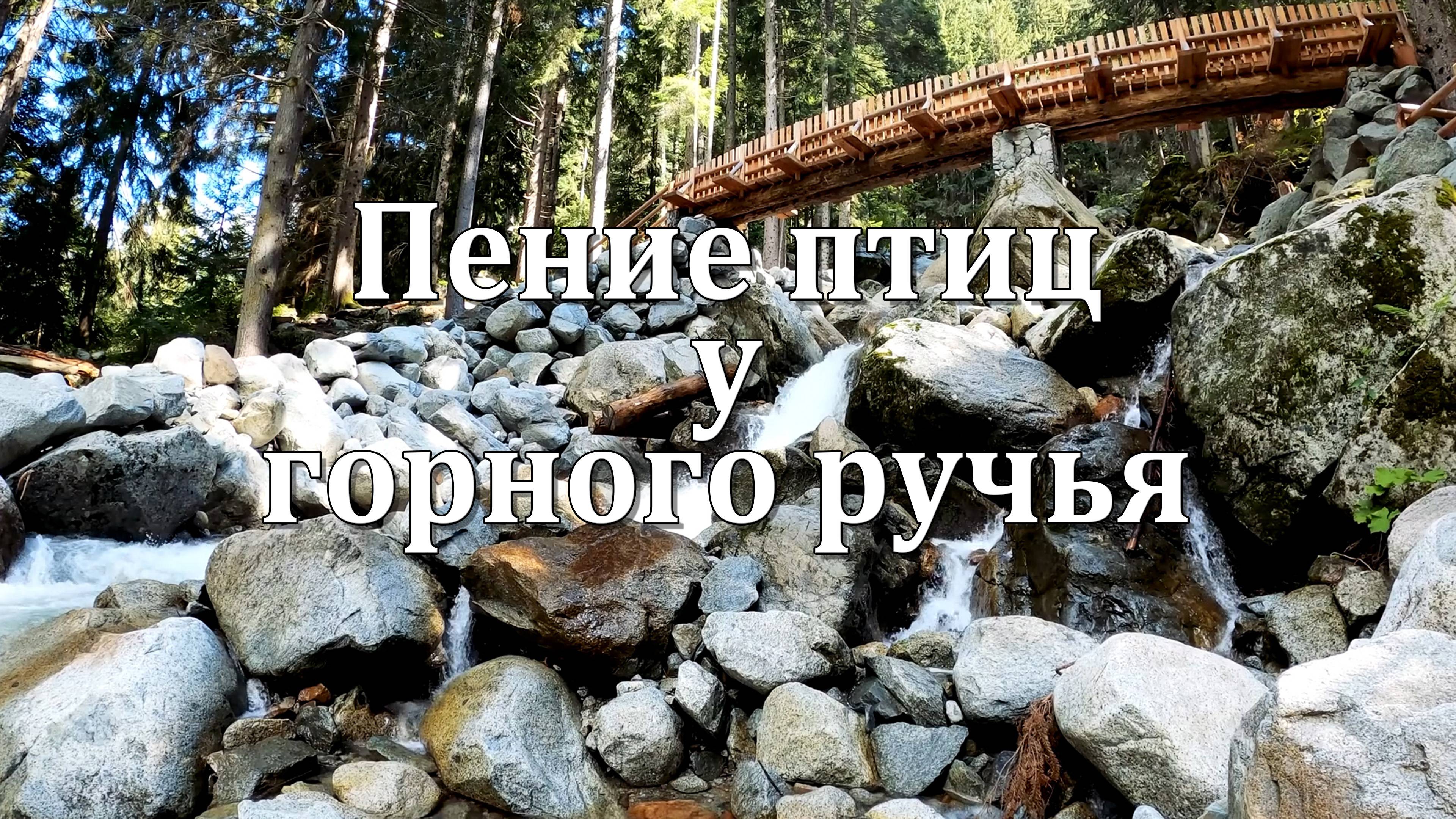 Звуки Ручья и Птиц | Природные Звуки для Расслабления, Медитации и Исцеления 🌿🕊️🌿