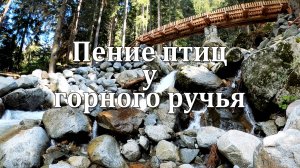 Звуки Ручья и Птиц | Природные Звуки для Расслабления, Медитации и Исцеления 🌿🕊️🌿