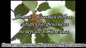 Яблони - массовая гибель сибирского феномена по версии В.Железова.