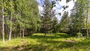 2035646 СНТ Кедровый Бор