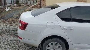 WhatsApp Video OCTAVIA