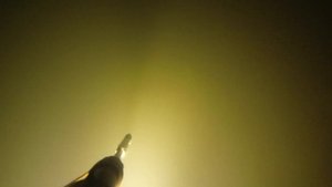 Донские раки. Подводная охота на рака