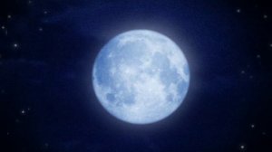 Забавные Букашки !  Улыбнись"!