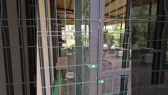 кошачий дом 🏠🏠🏠 смотреть онлайн