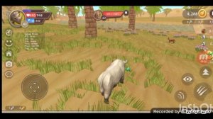 Прокачка медведя до 70 уровня в Wildcraft часть 3