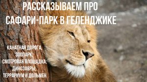 Рассказываем про Сафари-парк Геленджика, канатную дорогу, динозавров, террариум, дольмен