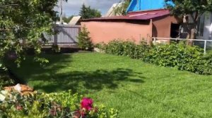Половинки (194м2) 14 дней после укладки. Отзыв заказчика.
